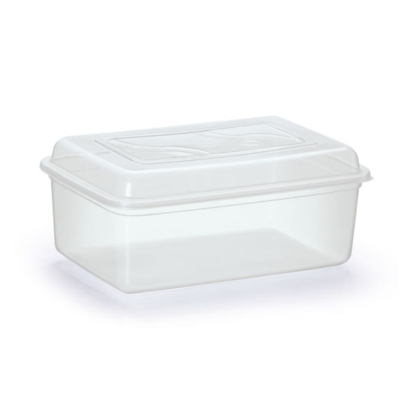 Container Versatil Retangular - 3l - Rainha